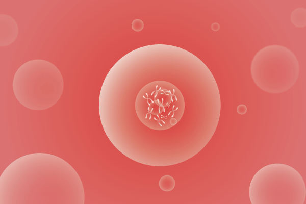 CNV,拷贝数变化遗传病、基因病、罕见病基因解码，基因检测，基因筛查与分子诊断