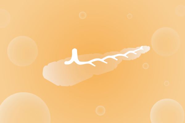 内分泌系统，腺体，胰腺遗传病、基因病、罕见病基因解码，基因检测，基因筛查与分子诊断