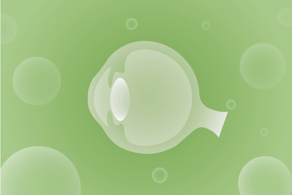 眼科，视光中心，眼科诊所，眼睛相关遗传病、基因病、罕见病的基因解码，基因检测，基因筛查与分子诊断