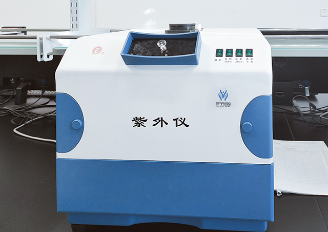 <b>巅峰国际基因如何解码一个人的操作智商</b>