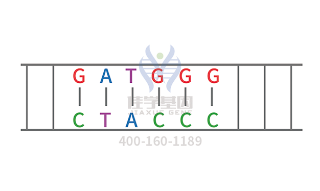 阿洛那药物<a href=http://www.neuroaof.com/tk/jiema/cexujishu/2021/31933.html>基因检测</a>