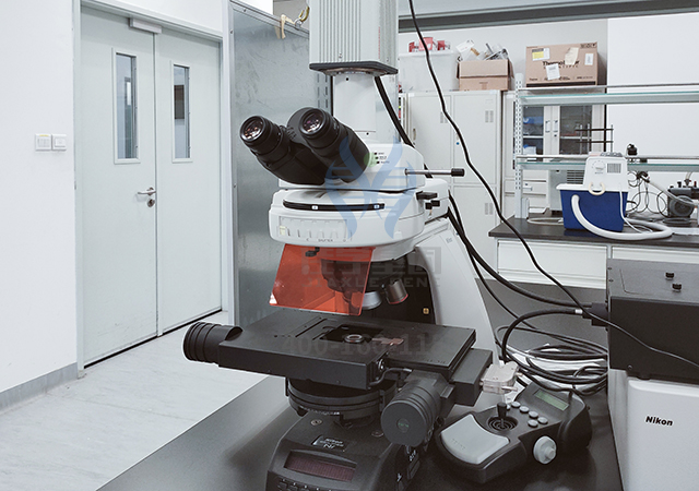 <font color='red'>脱发</font>基因解码：让头发生长的基因