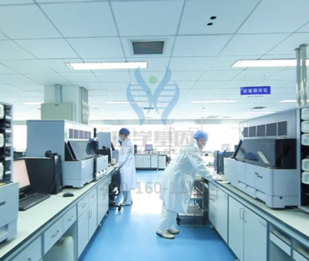 【巅峰国际基因-基因